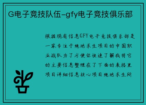 G电子竞技队伍-gfy电子竞技俱乐部